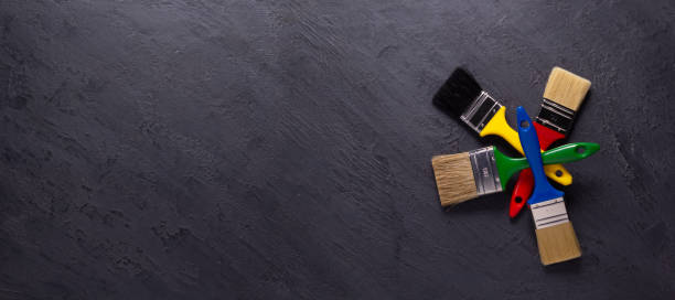 Trusted Echelon, NJ Mold Removal Experts